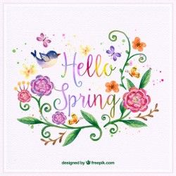 Watercolor background with flower and bird decoration