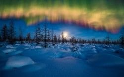 Winter Aurora Borealis Wallpapers