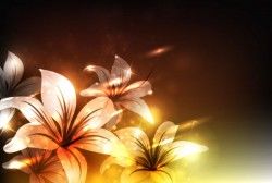 Dream Lily and Rose Vector material