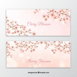 Banners of branches with cherry blossoms