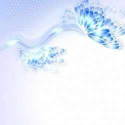 Beautiful butterfly wing with abstract background vector 11
