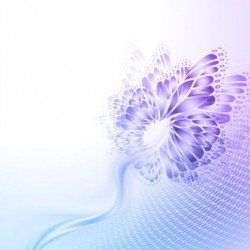 Beautiful butterfly wing with abstract background vector 02