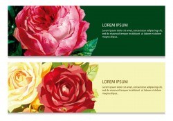 Beautiful Floral Banners Vector
