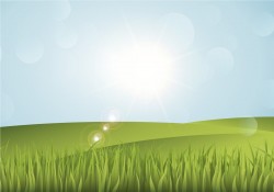 Beautiful Landscape Vector