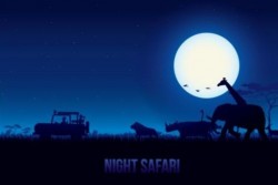 Bight safari landscape beautiful vector 04
