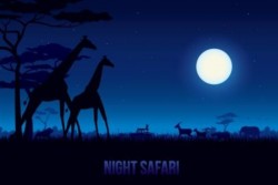 Bight safari landscape beautiful vector 02
