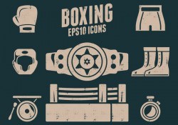 Boxing Icons