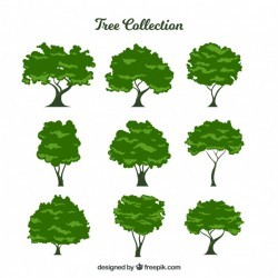 Collection of nine leafy trees