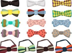 Cute bow set vector