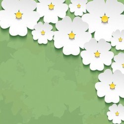 3d flower sakura with green grunge background vector 02