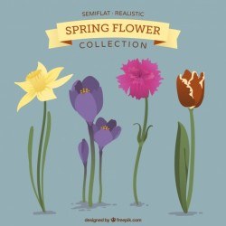 Decorative flowers in realistic style