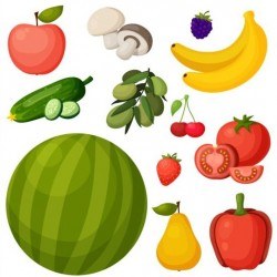 Different fresh vagetables vector set 03
