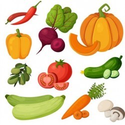 Different fresh vagetables vector set 02