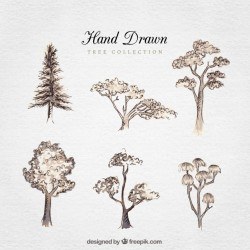 Fantastic pack of six hand-drawn trees