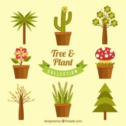 Flat pack of decorative trees and plants