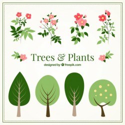 Flat pack of trees and beautiful plants