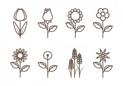 Flower Outline Vectors