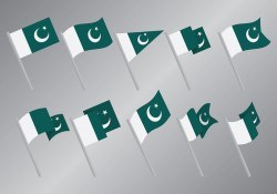 Free Pakistan Flag Icons Vector