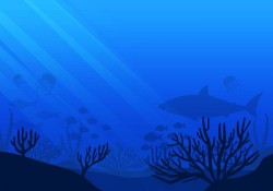 Free Sea life Seabed Vector
