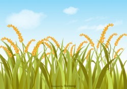 Free Vector Rice Field Illustration