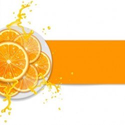 Fresh orange with juice background vector 02