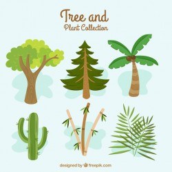 Great collection with different types of trees
