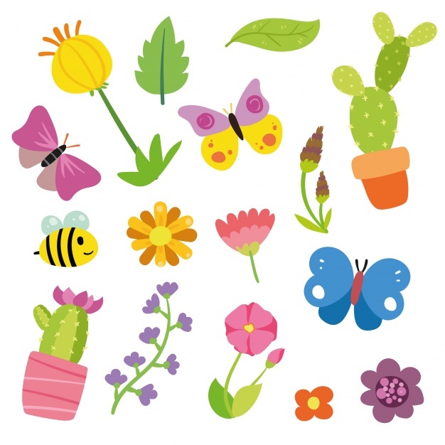 Nature elements collection