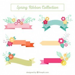 Pack of ribbons with floral details