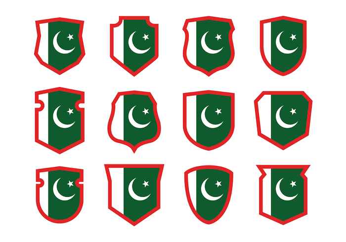 Pakistan Flag Vector