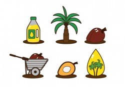 Palm Oil Vector