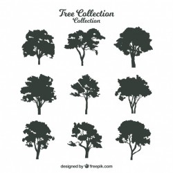 Silhouette of trees with variety of designs