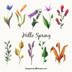 Spring pack of plants and flowers in watercolor style