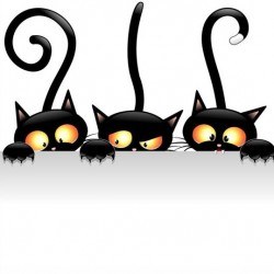 Three funny carton cat vector