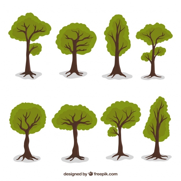 Variety of decorative trees