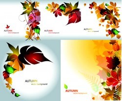 Colorful leaf vector material
