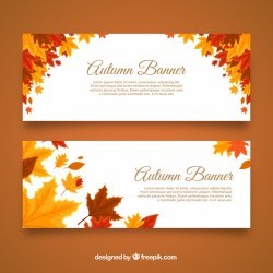 Autumnal banners with cool leaves