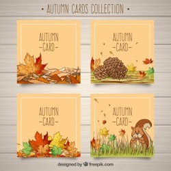 Lovely pack of hand drawn autumn cards
