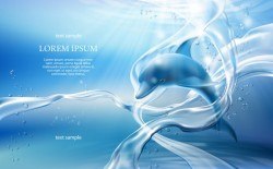 Vector banner with flows, bubbles of crystal clear water and dolphin on light blue background