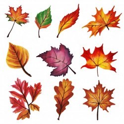 Autumn Leaves Collection