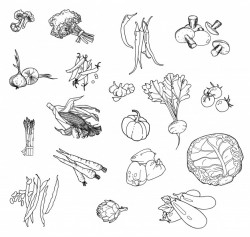 Set of hand-drawn vegetables for your design