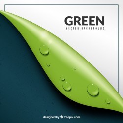 Abstract background with modern leaf