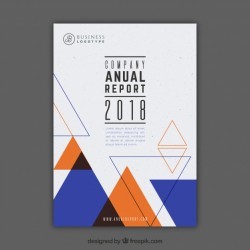 Business brochure with triangles