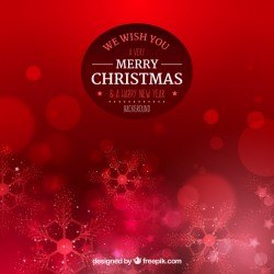 Christmas background with snow flakes