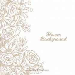 Floral background with hand drawn roses