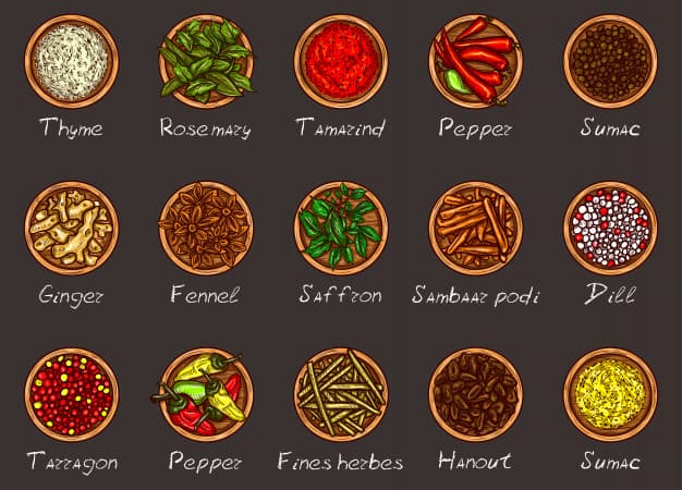Vector illustration of a variety of spices and herbs in wooden bowls on a black background