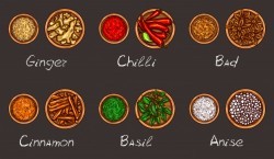 Vector illustration of a variety of spices and herbs in wooden bowls on a black