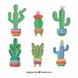 Creative cactus collection