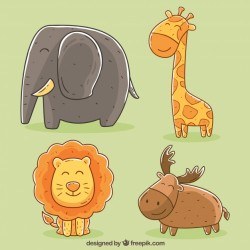 Cute animal collection