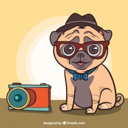 Lovely pug with photographer style