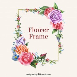 Modern frame with colorful flowers